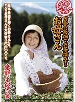 全国熟女捜索隊 田舎の茶畑でお茶摘みするお母さん