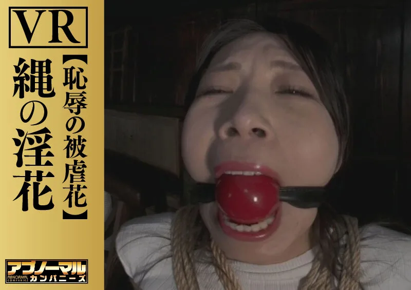 【VR】縄の淫花VR 恥辱の被虐花 小宮山亜依 サンプル画像8