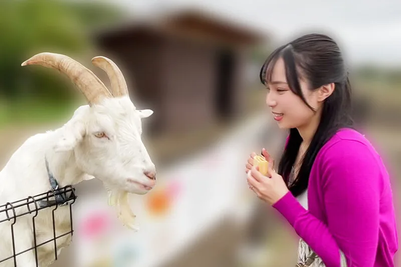 いつでもどこでも人妻オナホ したがり温泉旅行 藤原真帆 サンプル画像3